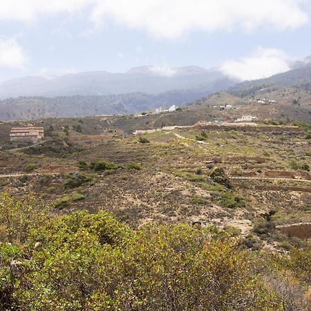 Live Arico El Cortijo Casa Rural Con Solarium & Terrace Arico Viejo المظهر الخارجي الصورة