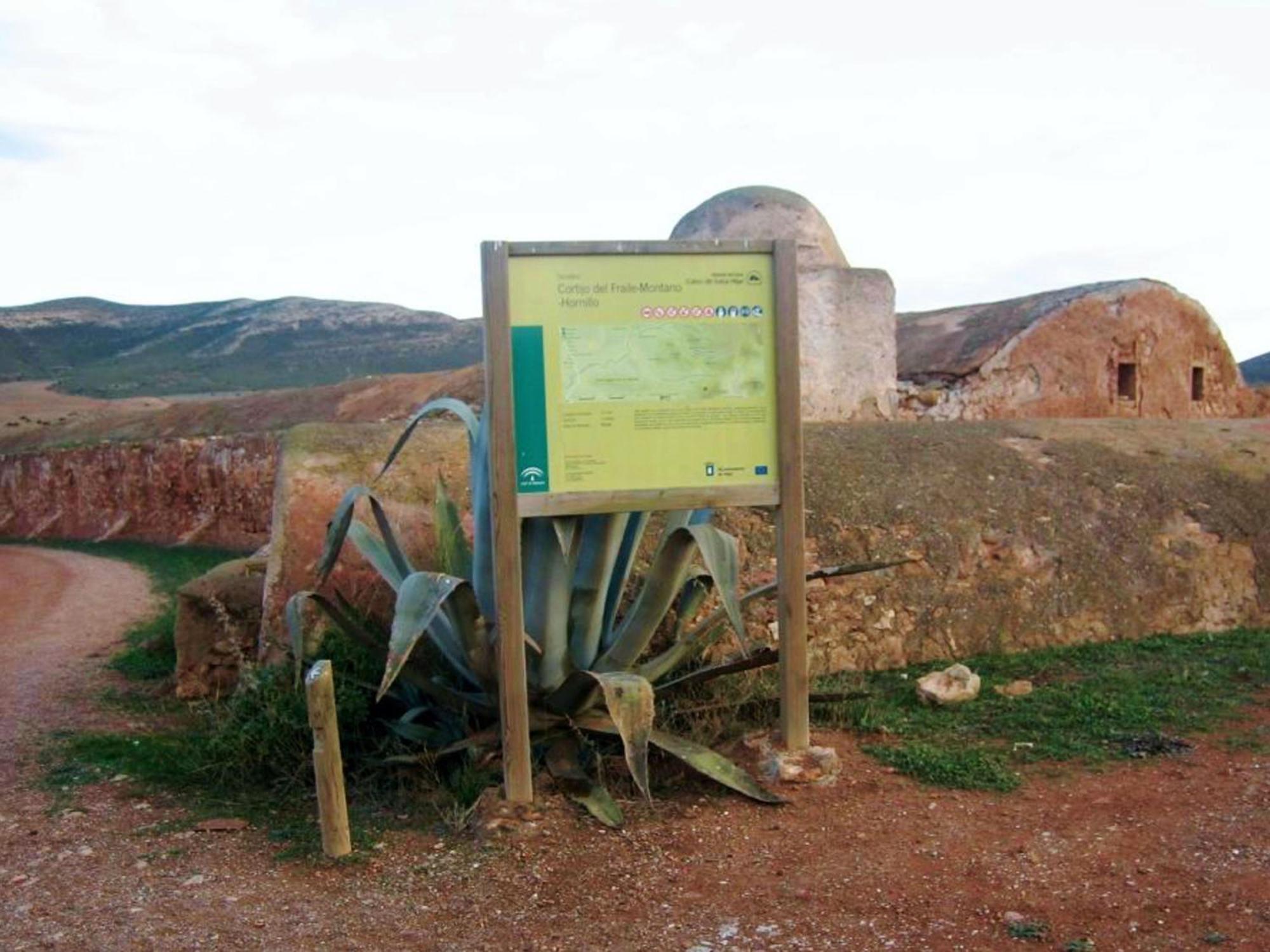 Live Arico El Cortijo Casa Rural Con Solarium & Terrace Arico Viejo المظهر الخارجي الصورة